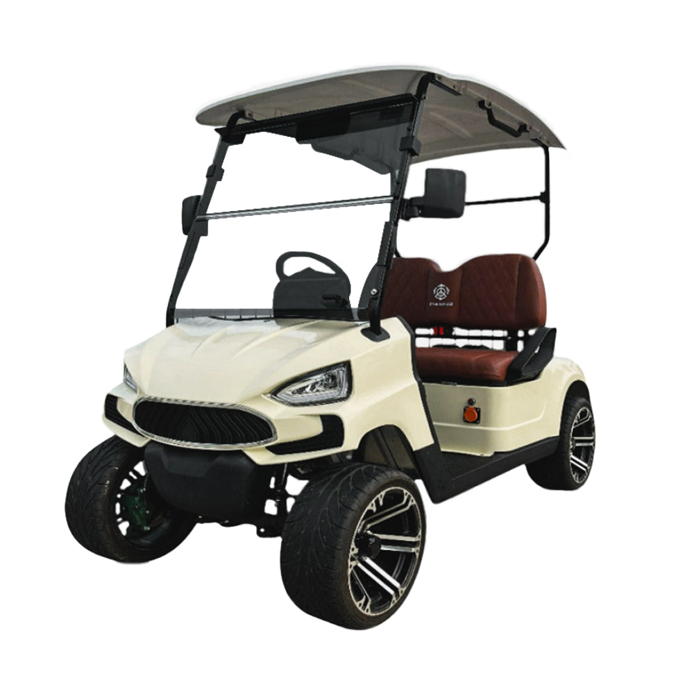 TXV2+0|S A 48V 2 Passenger Golf Cart Durable Buggy Experience