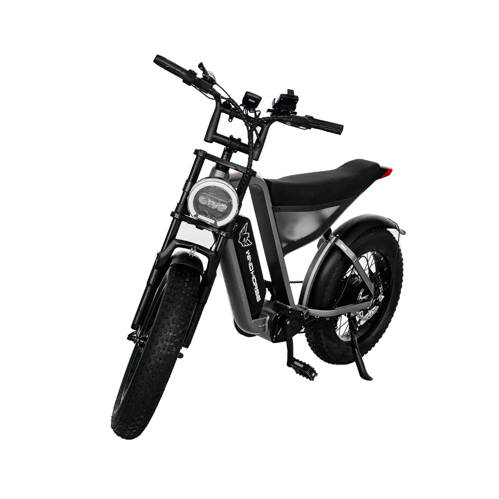 D-3 Electric Fat Tire Bike