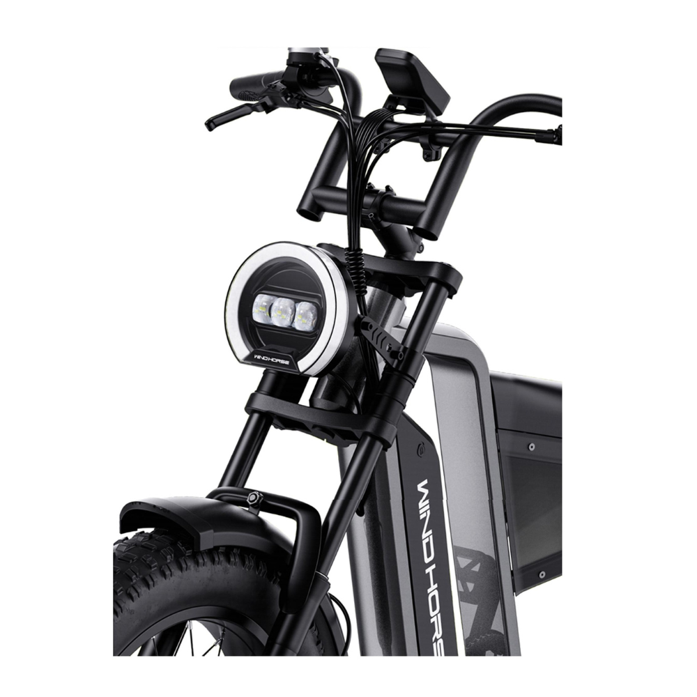 D-3 Electric Fat Tire Bike