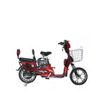 Load image into Gallery viewer, 48V Electric Motorcycle Battery – 16 Size
