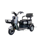 Load image into Gallery viewer, 48V Electric Passenger Tricycle with Brushless
