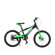 21-Speed Mountain Bike with Steel Frame