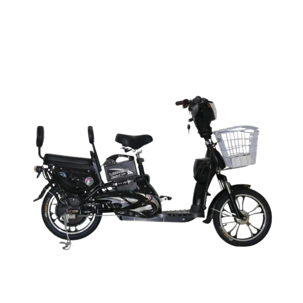 48V Electric Motorcycle Battery – 16 Size