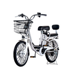 Load image into Gallery viewer, Lightweight 20&quot; E-Bike: 350W Motor, 48V Battery
