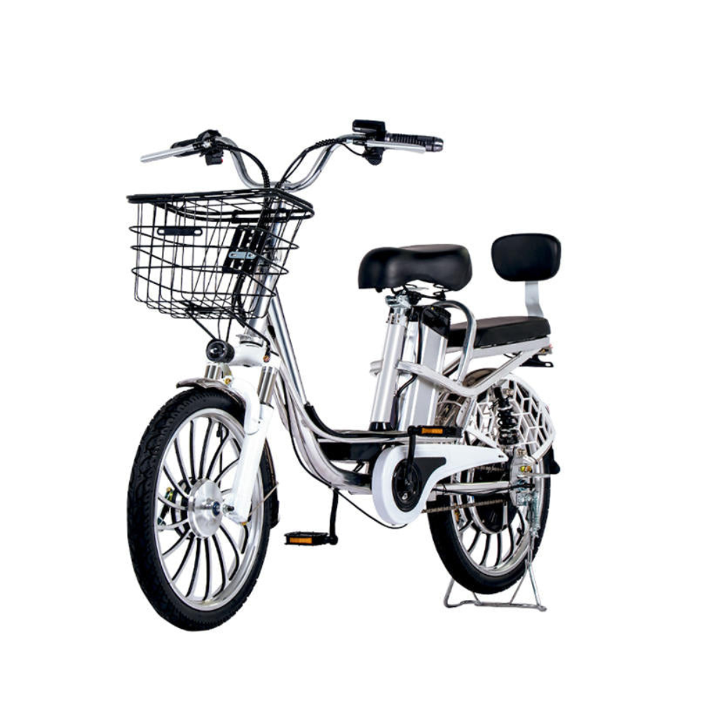 Lightweight 20" E-Bike: 350W Motor, 48V Battery