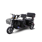 Load image into Gallery viewer, 3-Wheel Electric Scooter for Adults in UAE – 800W Passenger Tricycle
