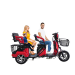 Load image into Gallery viewer, 3-Wheel Electric Scooter for Adults in UAE – 800W Passenger Tricycle
