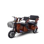 Load image into Gallery viewer, 3-Wheel Electric Scooter for Adults in UAE – 800W Passenger Tricycle
