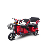 Load image into Gallery viewer, 3-Wheel Electric Scooter for Adults in UAE – 800W Passenger Tricycle
