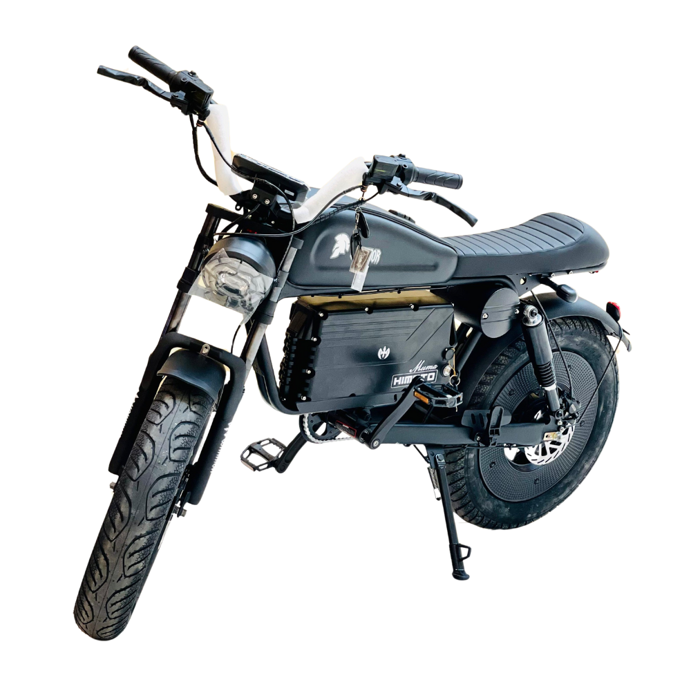 WS-20 High-Speed Electric Scooter