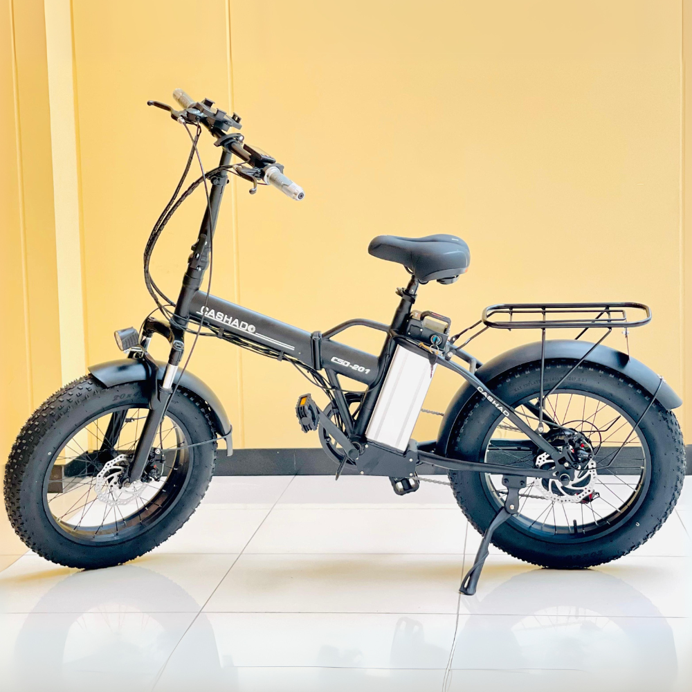 X-D Electric Scooter 500V Motor