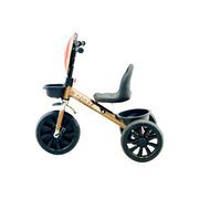 Model 7404 Kids Tricycle
