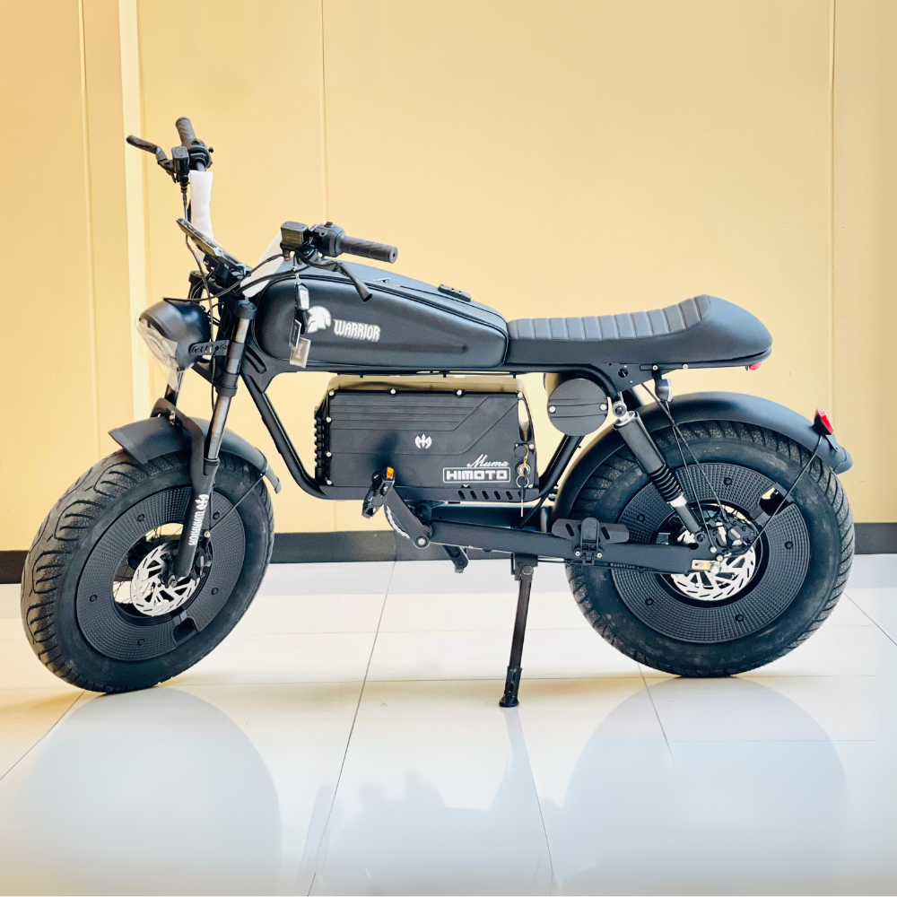 WS-20 High-Speed Electric Scooter