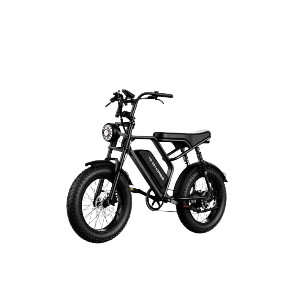 Electric Bike for Adults – 750W Motor, 60 km/h Speed