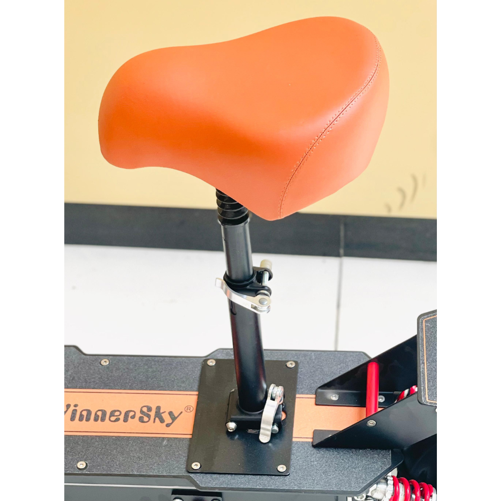 W-01 Electric Scooter