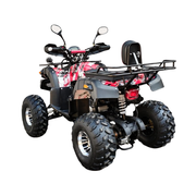 200cc ATV Quad Bike