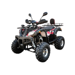 Load image into Gallery viewer, 200cc ATV Quad Bike
