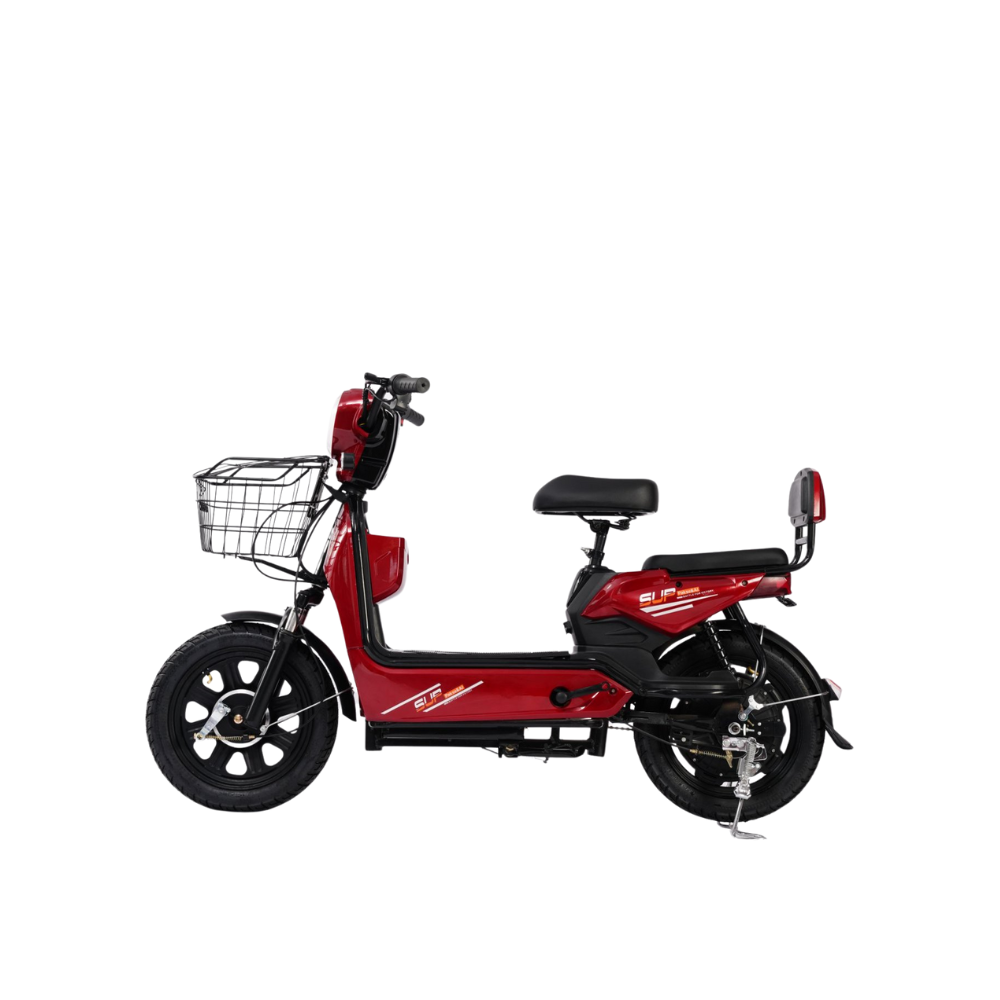 Urban Electric Bike