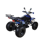 Load image into Gallery viewer, 250cc Adult Sport ATV
