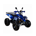 Load image into Gallery viewer, 250cc Adult Sport ATV
