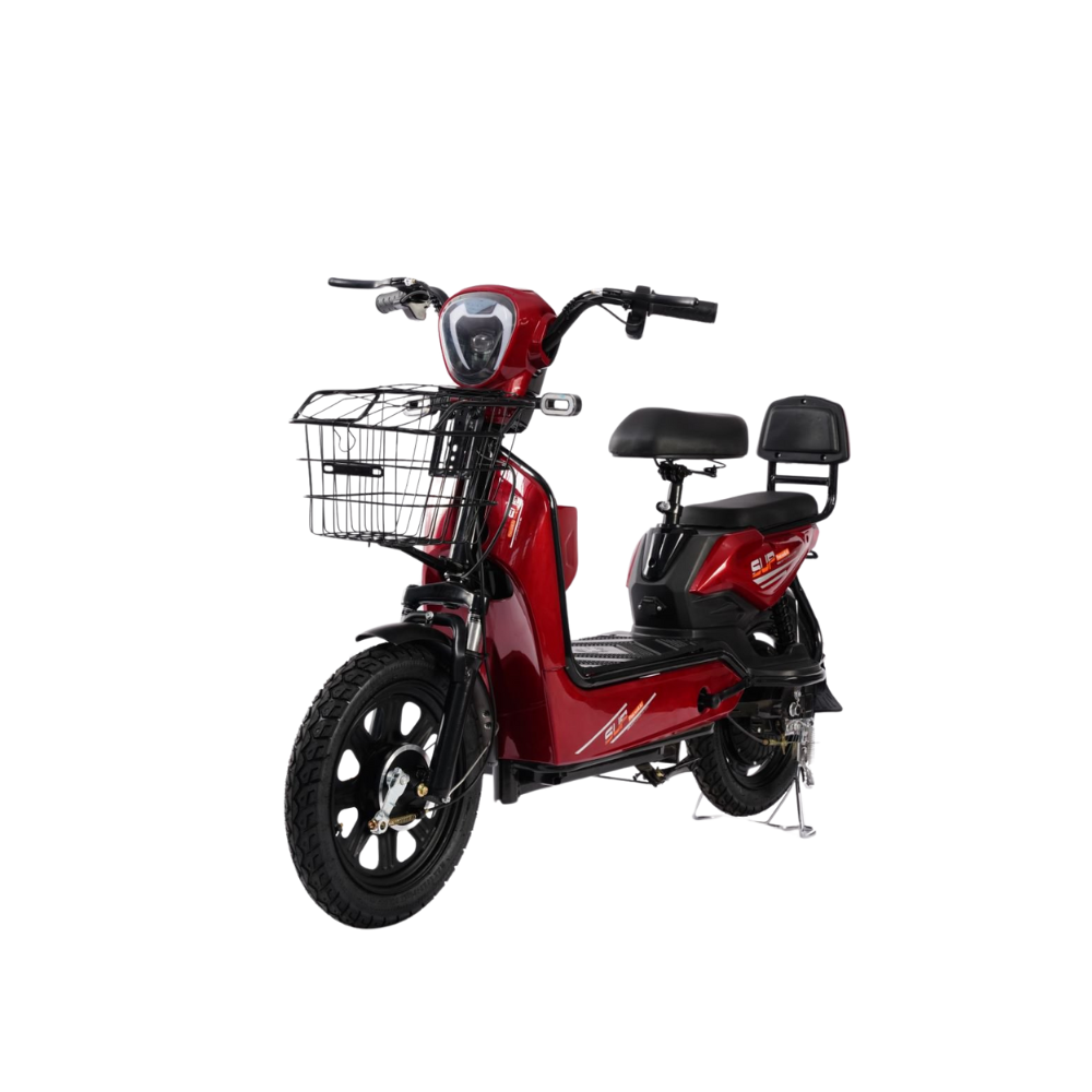 Urban Electric Bike