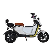 Two-Seater Modern Electric Bike