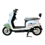 Load image into Gallery viewer, M-09 Electric Scooter
