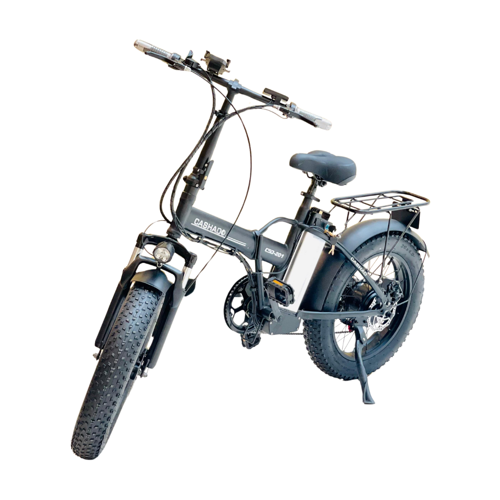 X-D Electric Scooter 500V Motor