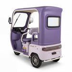 Load image into Gallery viewer, Chenxian D19 Electric Leisure Vehicle – 1000W Motor, 48V20A Battery, 3‑Wheel Detachable Design, Foldable Seats