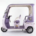 Load image into Gallery viewer, Chenxian D19 Electric Leisure Vehicle – 1000W Motor, 48V20A Battery, 3‑Wheel Detachable Design, Foldable Seats