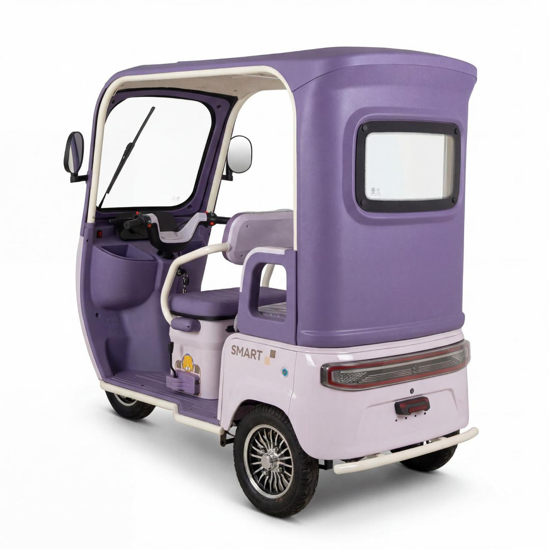 Chenxian D19 Electric Leisure Vehicle – 1000W Motor, 48V20A Battery, 3‑Wheel Detachable Design, Foldable Seats