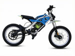 Load image into Gallery viewer, Chenxian Electric Bike – 0.8KW Mid‑Motor, 48V28A Battery, 45 KM/h Speed, Front &amp; Rear Disc Brakes