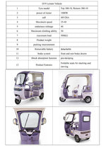 Load image into Gallery viewer, Chenxian D19 Electric Leisure Vehicle – 1000W Motor, 48V20A Battery, 3‑Wheel Detachable Design, Foldable Seats