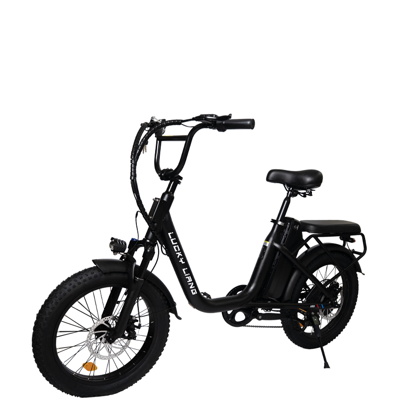 U03 Lightweight Electric Bike | 750W Max Power & 70KM Range