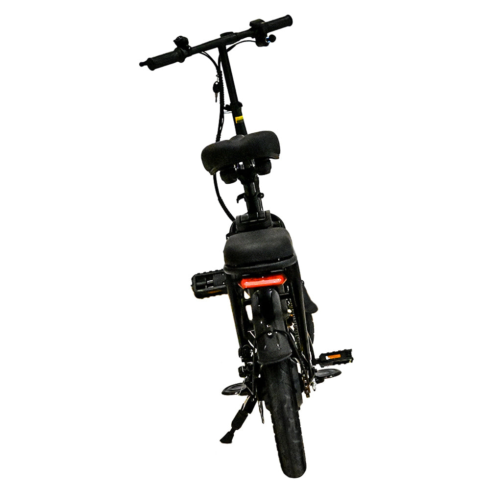 W2B Foldable Electric Bike