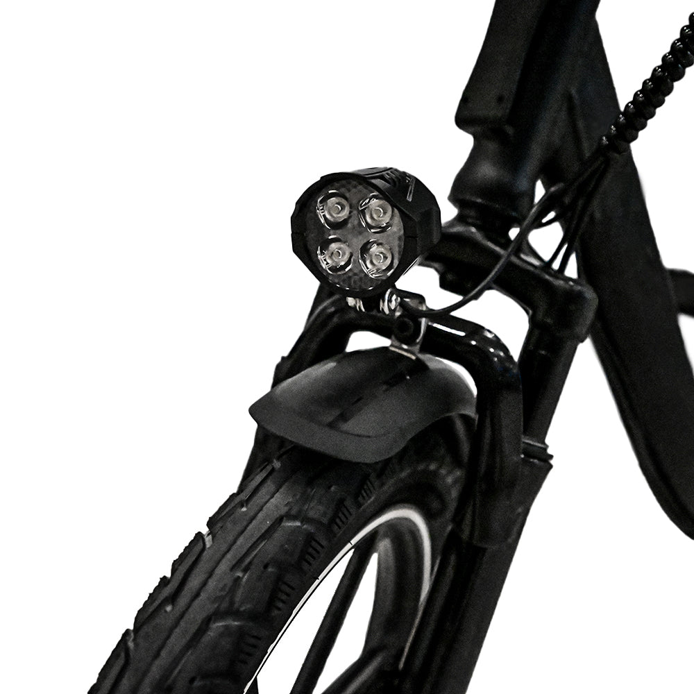 W2B Foldable Electric Bike