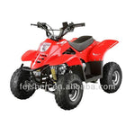 Load image into Gallery viewer, Off Road Quad bikes ATV 110CC
