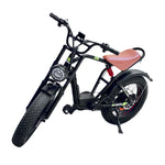Load image into Gallery viewer, Model S-01, Electric Scooter
