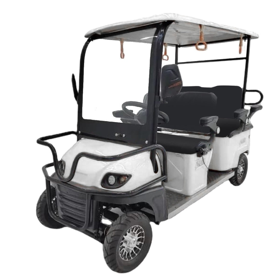 FA4+2 Cruise Master 600x 6 passenger Golf Cart - COOLBABY