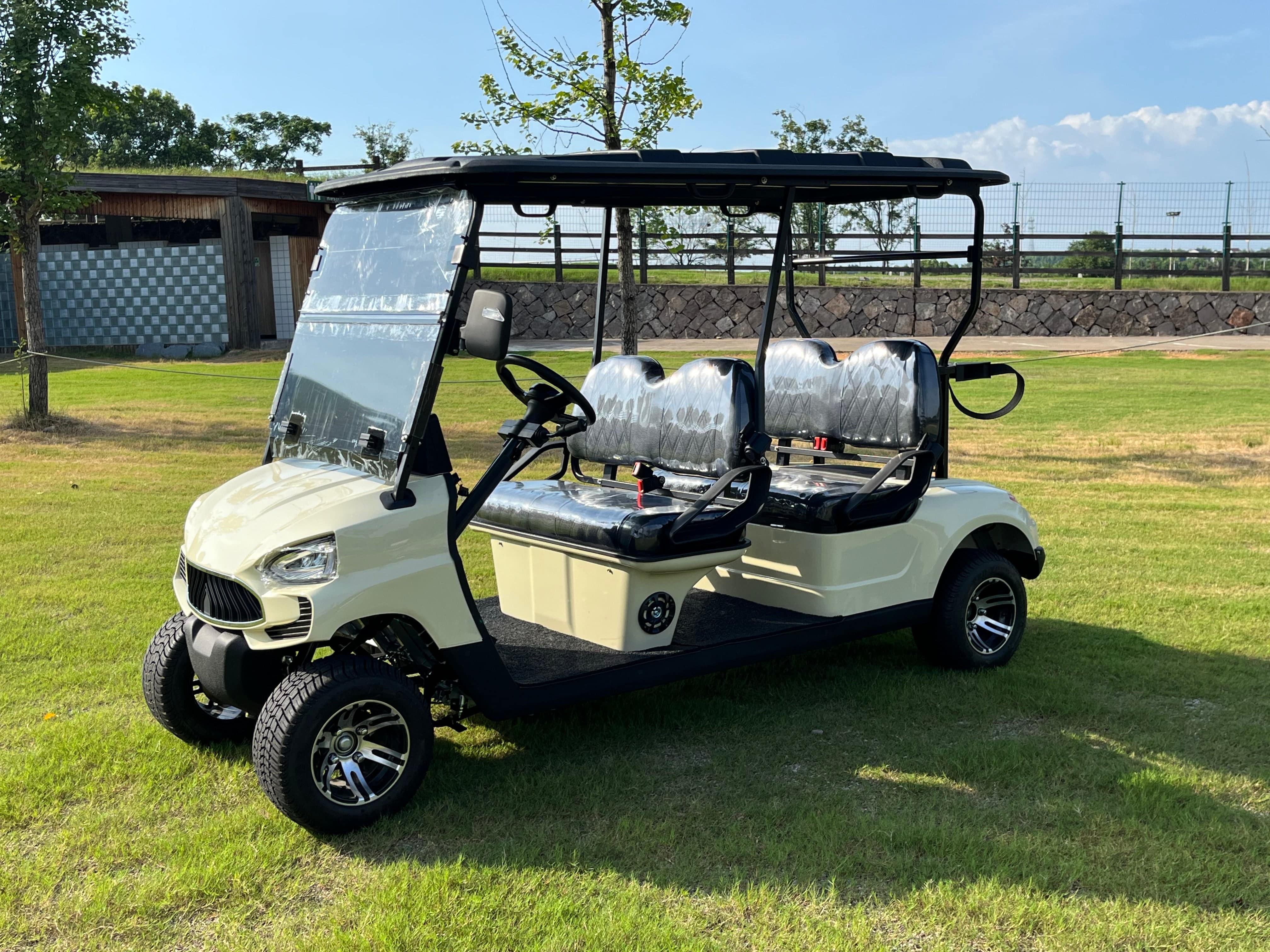 Sun Cart TXV4+0 A Durable 48V, Buggy Rides – GCC Motor