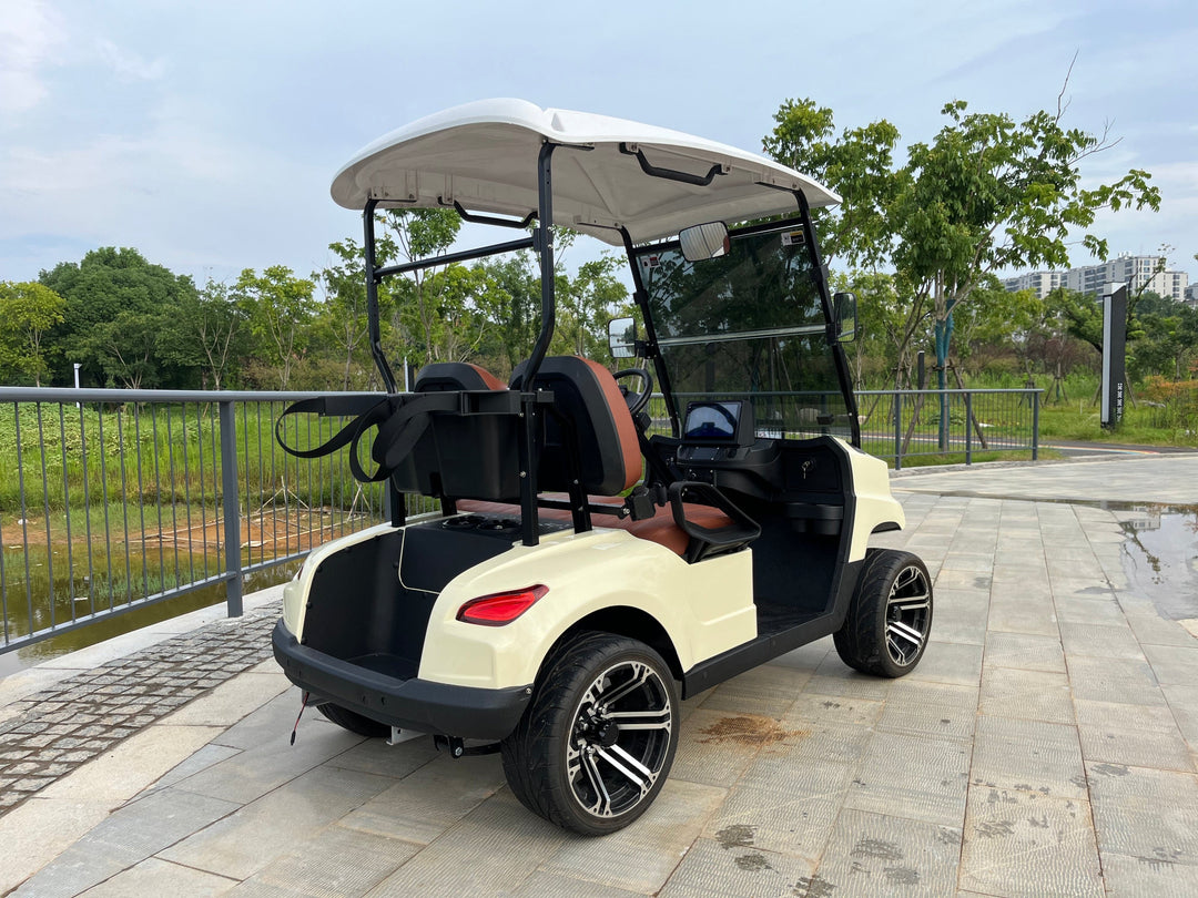 COOLBABY TXV20: A 48V 2 Passenger Golf Cart Durable Buggy Experience - COOL BABY